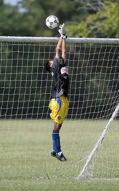 但他在球迷 但他在球迷