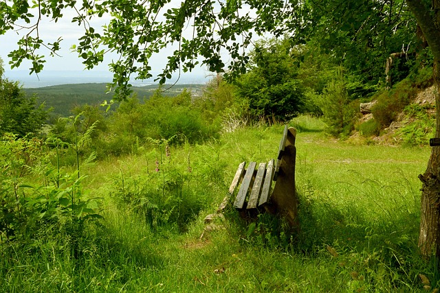 終熱愛並關 終熱愛並關