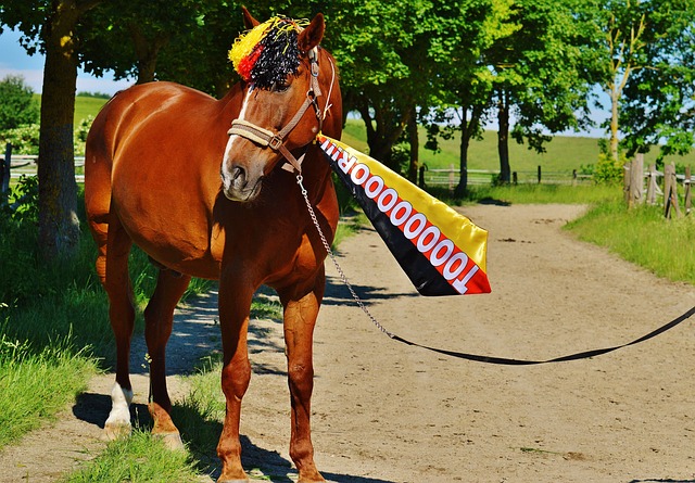 够带来胜利 够带来胜利