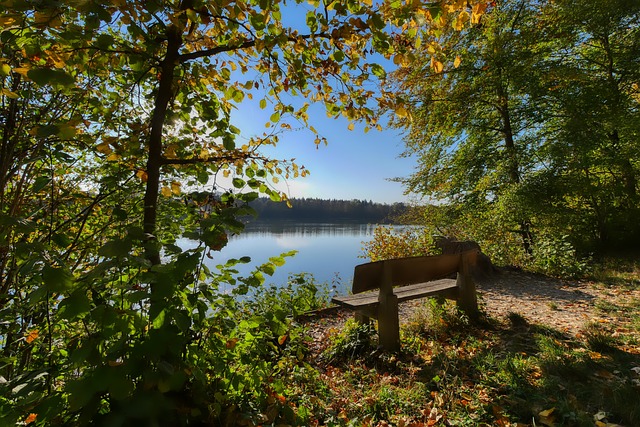 的比赛数量 的比赛数量